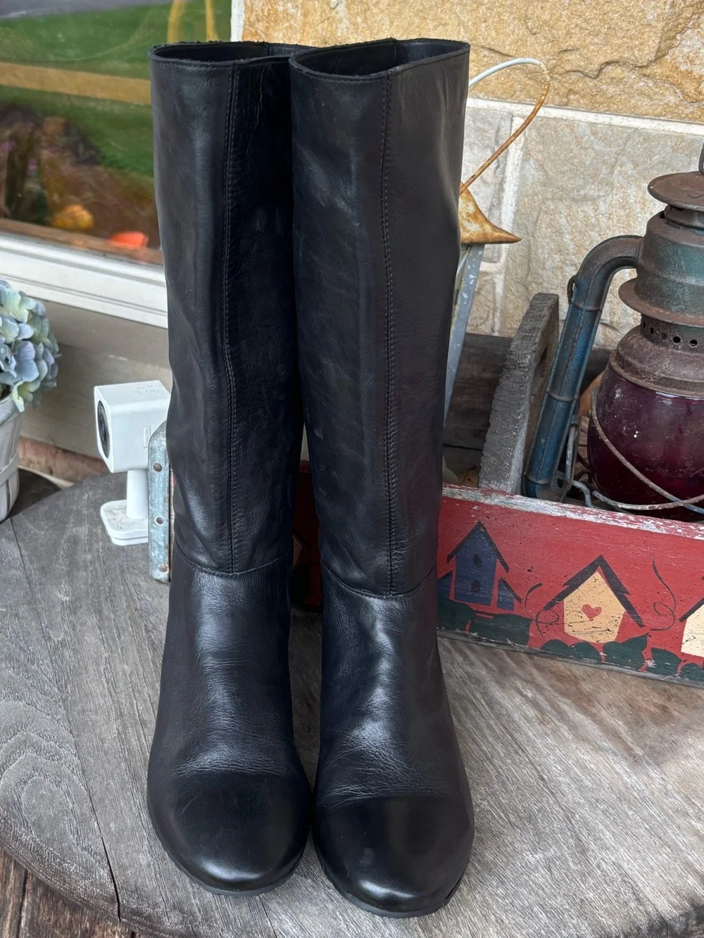 Gianni Bini gianni bini